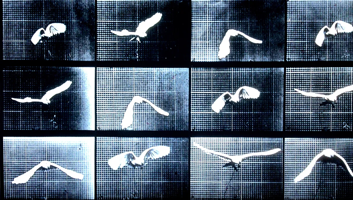 Fall 2016 two new upcoming releases